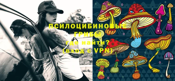 прущий лед Белокуриха