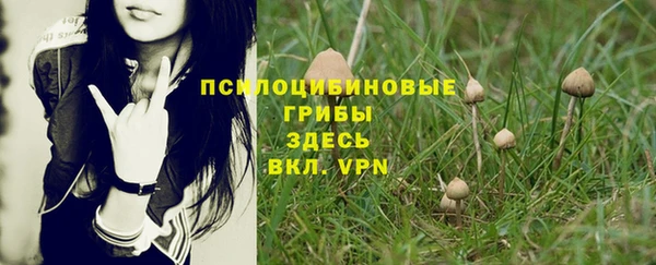 прущий лед Белокуриха